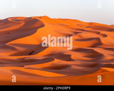 Atemberaubende Sanddünen in der Nähe von Merzouga, Marokko bei Sonnenuntergang - Landschaftsaufnahme Stockfoto