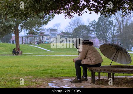 Ein Mann mit Schirm sitzt unter dem Baum, hält rote Blume auf der Bank, regnerisch Stockfoto