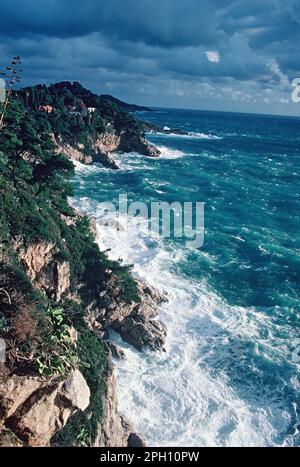 Kroatien. Dubrovnik. Blick auf die Küste. Stockfoto