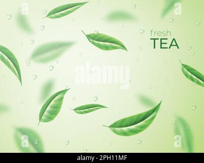 Kräuterteeblätter. Grüner Naturhintergrund mit Wassertropfen, Süßwassergetränk, fliegenden organischen Pflanzen. Realistische Blätter für die Gestaltung des Werberahmens. Biozutat Öko. Isolierte Vektor-3D-Konstruktion Stock Vektor