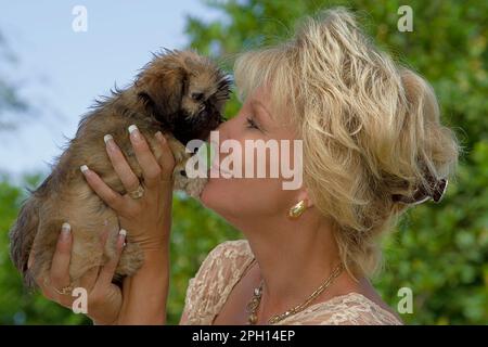 Ich liebe den neuen Hund Stockfoto