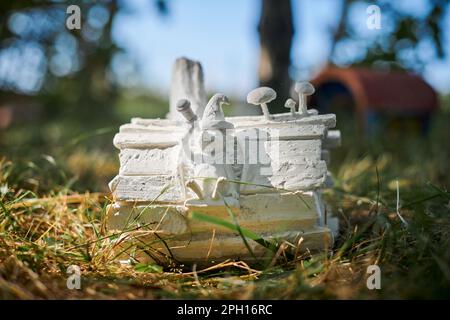 Kleine Igelstatue, die in Holzholz sitzt und ein Teleskop am Sternenhimmel betrachtet, mit grünem Gras Hintergrund, niedliche Kinder, die Igelfigur hergestellt aus fr Stockfoto