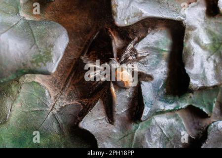 Details von Blättern und Insekten an der Tür der Sagrada Familia, Barcelona, Spanien. Stockfoto