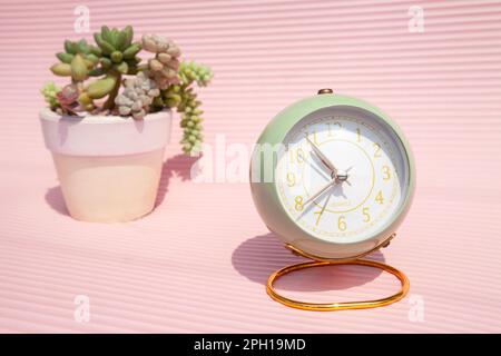 Kugelförmiger Wecker im Retro-Stil neben einem Topfsaft in einem Morgenschlafzimmer. Grüne, runde Uhr und eine Pflanze in einem Topf in einem Büro Stockfoto