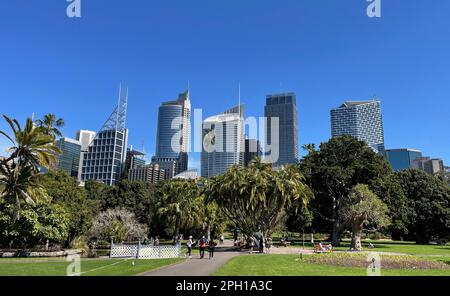 Blick auf Sydneys Skyline vom Royal Botanical Garden in Sydney, New South Wales, Australien. Stockfoto