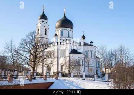 Erzengel-Kathedrale Michael an einem sonnigen Märztag. Das Viertel St. Petersburg, Russland Stockfoto