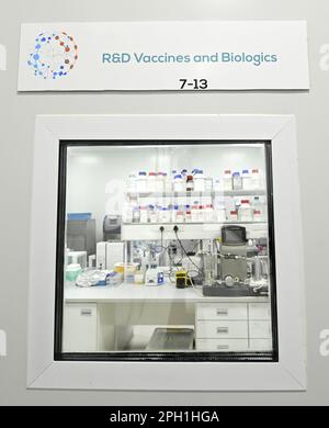 Kapstadt, Südafrika. 25. März 2023. Illustration zeigt einen Besuch bei der Afrigen Biologics and Vaccines Company während eines Staatsbesuchs des belgischen Königspaares in der Republik Südafrika, Samstag, den 25. März 2023. BELGA FOTOPOOL DIDIER LEBRUN Kredit: Belga News Agency/Alamy Live News Stockfoto