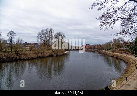 The Swan Sanctuary am Fluss Severn in Worcester, England, Großbritannien - 28. Januar 2023 Stockfoto