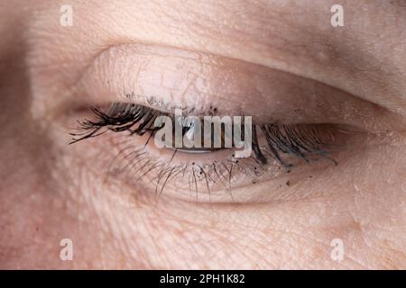 Halbgeschlossenes weibliches Auge mit bemalten Wimpern Stockfoto