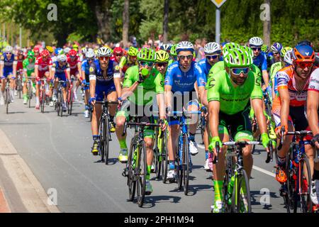 Radfahrer in der zweiten Etappe von Giro d Italia. Beuningen, Niederlande - 7. Mai 2016 Stockfoto