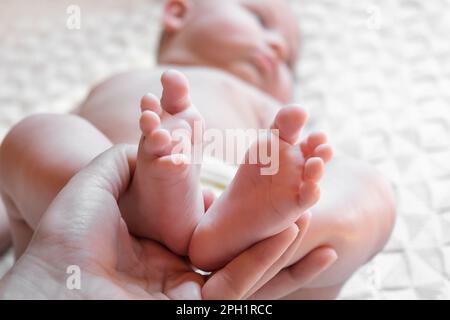 Mutter hält Babyfüße in den Händen. Beine Neugeborene in der Hand weiblicher Eltern. Kleine Kinderfüße in der Palme der Mutter. Nahaufnahme. Kleine Zehen von Kind und Frau Stockfoto