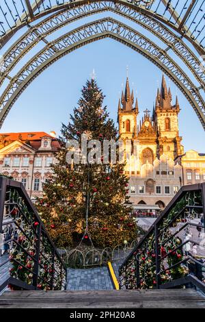 Blick auf einen Weihnachtsbaum und die Marienkirche vor Tyn auf dem Altstädter Ring in Prag, Tschechische Republik Stockfoto