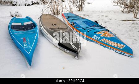 Fort Collins, CO, USA - 25. März 2023: Vorbereitung auf eine Paddel- und Rennsaison - drei Stehpaddleboards von Steuerboard und SIC Maui in einem Backyar Stockfoto