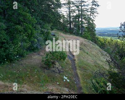 BC00658-00...BRITISH COLUMBIA - Sunshine Coast Trail überquert die felsigen Gilbralter Cliffs. Stockfoto