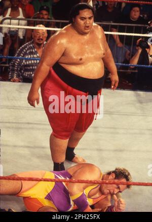 1990 Yokozuna Crush Foto von John Barrett/PHOTOlink Stockfoto