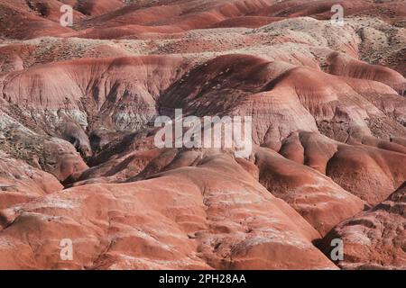 Der Petrified Forest National Park in Arizona ist ein UNESCO-Weltkulturerbe und wurde 1906 von Präsident Theodore Roosevelt zum Nationaldenkmal erklärt. Stockfoto