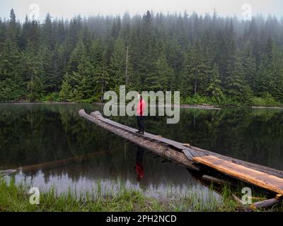 BC00719-00...BRITISH COLUMBIA - ruhiger Abend am Elk Lake während einer Pause vom Regen, gelegen am Sunshine Coast Trail. Stockfoto