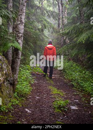 BC00722-00...BRITISH COLUMBIA - Hiker auf einer alten Holzfällerstraße in der Nähe von Elk Lake, über den See vom Sunshine Coast Trail. Stockfoto