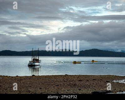 BC00735-00...BRITISH COLUMBIA - früher Morgen in der Saltery Bay an der Sunshine Coast und am südlichen Ende des Sunshine Coast Trail. Stockfoto