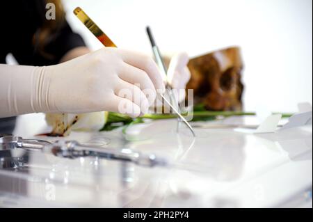 Frau Dermatologe prüft Creme.Allergietest, Irritation .Forschung und Entwicklung das natürliche Schönheitsprodukt im Labor. Hochwertiges Foto Stockfoto