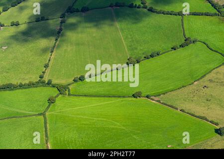 Unvergleichlicher Blick auf Carmarthenshire, West Wales Stockfoto