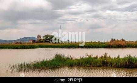 Wichtiger Feuchtgebiet-Nationalpark Delta Evros in Thrakien Griechenland in der Nähe von Feres und Alexandroupolis Stockfoto