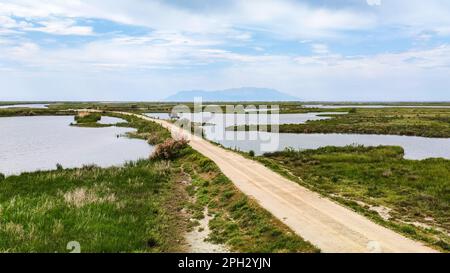 Wichtiger Feuchtgebiet-Nationalpark Delta Evros in Thrakien Griechenland in der Nähe von Feres und Alexandroupolis Stockfoto