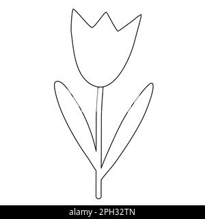 Einfache Tulpenblume, Federelement, Doodle-Style, flache Vektordarstellung für Kinder Malbuch Stock Vektor
