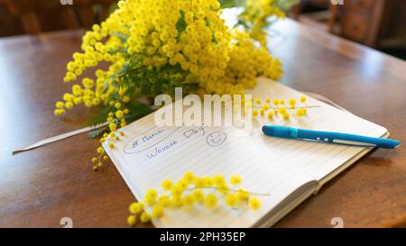 Blumen und Topfblumen von Mimosa, Acacia dealbata, ein wunderschönes Blumensymbol des Frauentags, das am 8. März gefeiert wurde Stockfoto