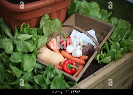 Gemüse auf einem Bauernmarkt Stockfoto