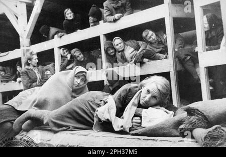 Frauen in den Baracken des neu befreiten Konzentrationslagers Auschwitz. Auf der linken Seite ist Rivka Ruchle Chencinska (Nee Krause) abgebildet, das einen Schal trägt. Stockfoto