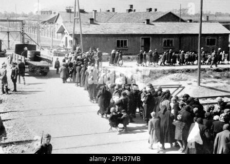 Jüdische Frauen und Kinder aus Ungarn gingen in Richtung Gaskammer, Auschwitz II, Mai/Juni 1944. Nach dem Auswahlprozess auf dem Bahnhofsplattform wurden die zum Sterben verurteilten Personen direkt zu den Gaskammern geführt. Stockfoto