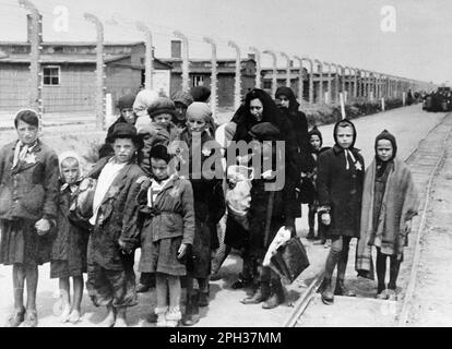 Ungarische Juden aus dem Tet Ghetto im Vernichtungslager Auschwitz-Birkenau während der zweiten Hälfte des Jahres 1944, die in Richtung der Gaskammern gingen. Nach dem Auswahlverfahren auf dem Bahnhofsplattform wurden die zum Sterben verurteilten Personen direkt zu den Gaskammern geführt. Stockfoto