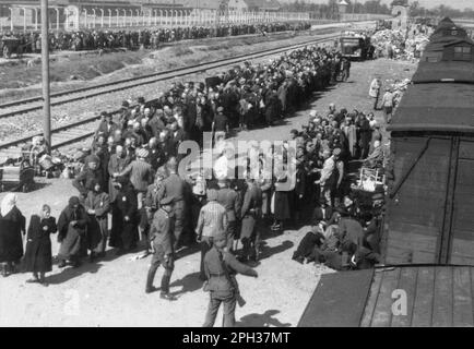 Ungarische Juden aus dem Tet Ghetto warten auf die Auswahl auf der Rampe in Auschwitz II-Birkenau. Selektion bestand darin, sofort in den Gaskammern zum Tode ausgewählt zu werden oder als Zwangssklavenarbeiter geschickt zu werden. Foto: 27. Mai 1944 Stockfoto