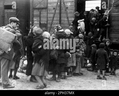 Juden, die nach ihrer Ankunft im Vernichtungslager Auschwitz aus den Schreckzügen absteigen. Von hier aus gingen sie zur Selektion, die darin bestand, in den Gaskammern sofort zum Tod ausgewählt zu werden oder als Zwangssklavenarbeiter geschickt zu werden. Stockfoto