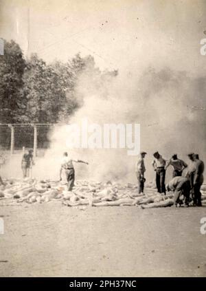 Die Sonderkommando-Fotos. Während es viele Bilder gibt, die die Opfer auf dem Bahnsteig in Auschwitz zeigen, oder auf dem Weg zu den Gaskammern, wurden nur vier vom eigentlichen Tötungsvorgang gemacht. Das sind die Sonderkommando-Fotos. Sie wurden mit einer geschmuggelten Kamera ins Lager aufgenommen, und die Bilder erzählten der Welt, was passierte. Das hier zeigt die vergasten Leichen, die auf den Boden geworfen wurden und aufgesammelt und in eine Feuerstelle im Freien gelegt werden. Stockfoto