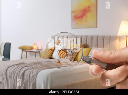 Frau mit Lupe, die Bettwanzen im Schlafzimmer erkennt, schließt Stockfoto