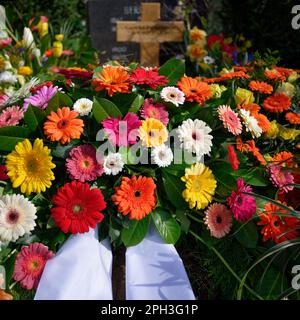 Viele verschiedene bunte Gerbera Gänseblümchen mit trauernder Schleife auf einem Grab mit Holzkreuz im Hintergrund nach einer Beerdigung Stockfoto