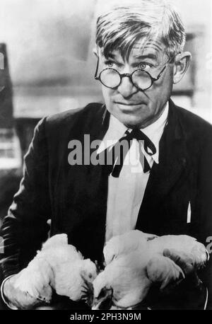 Will Rogers (1879-1935), amerikanischer Cowboy-Humorist, Filmstar, Entertainer und Schriftsteller, Hühnerhaltung in den 1930er Jahren. Stockfoto