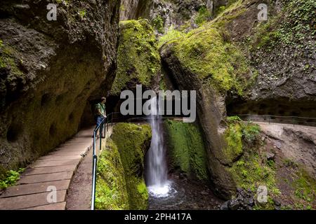 Wanderer in Levada Nova, Nova Wasserfall und Moinho in einer Schlucht, Ponta do Sol, Madeira, Portugal Stockfoto