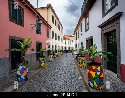 Straße mit bunten Blumentöpfen, Altstadt, Stadt Camara de Lobos, Madeira, Portugal Stockfoto