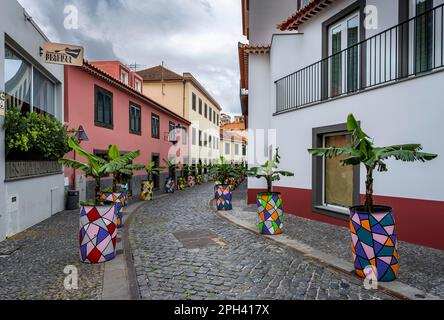 Straße mit bunten Blumentöpfen, Altstadt, Stadt Camara de Lobos, Madeira, Portugal Stockfoto