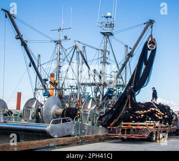 Zwei kanadische seine-Boote am Dock, die Netze für die Angelsaison vorbereiten. Stockfoto