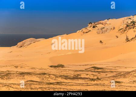 Sanddünen in der Nähe von Phan Rang, Ninh Thuan, Vietnam Stockfoto