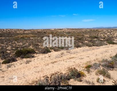 Zu Fuß über die wunderbare Insel Culatra in der Nähe von Olhao Portugal Stockfoto