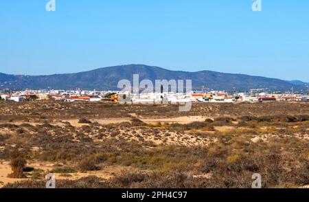 Zu Fuß über die wunderbare Insel Culatra in der Nähe von Olhao Portugal Stockfoto