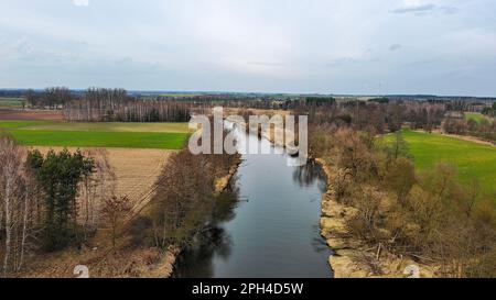 Widawka-Fluss im Frühling, Polen. Stockfoto