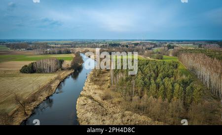 Widawka-Fluss im Frühling, Polen. Stockfoto