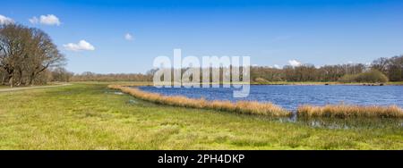 Panorama eines kleinen Sees in Drenthe bei Orvelte, Niederlande Stockfoto