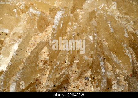 Desert Rose - Baryte (Bariumsulfat) Closeup. [Bildrahmen c1cm quer] Stockfoto